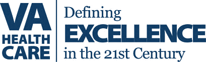 VA excellence logo